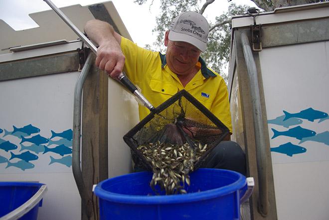 Paul Petraitis liberates fish © Simone Dalton